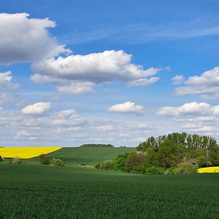 Grosszuegige Wohnung Am Comberg-Park Mettmann Dış mekan fotoğraf